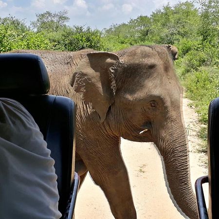 Отель Big Game Udawalawe - By Eco Team Экстерьер фото