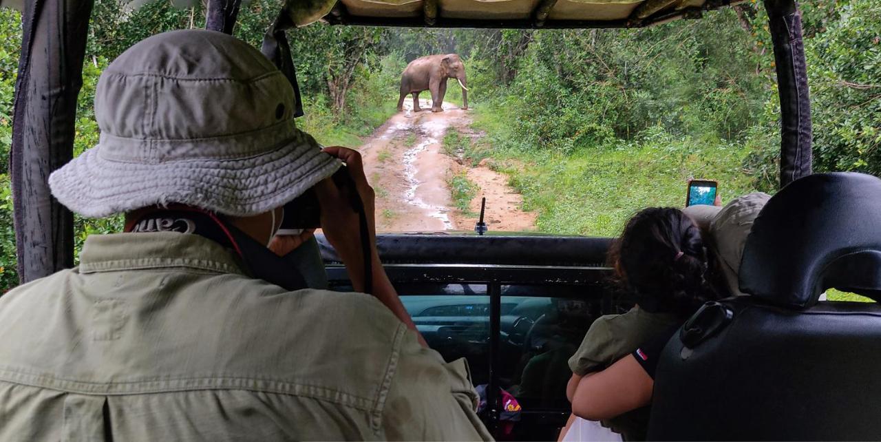 Отель Big Game Udawalawe - By Eco Team Экстерьер фото