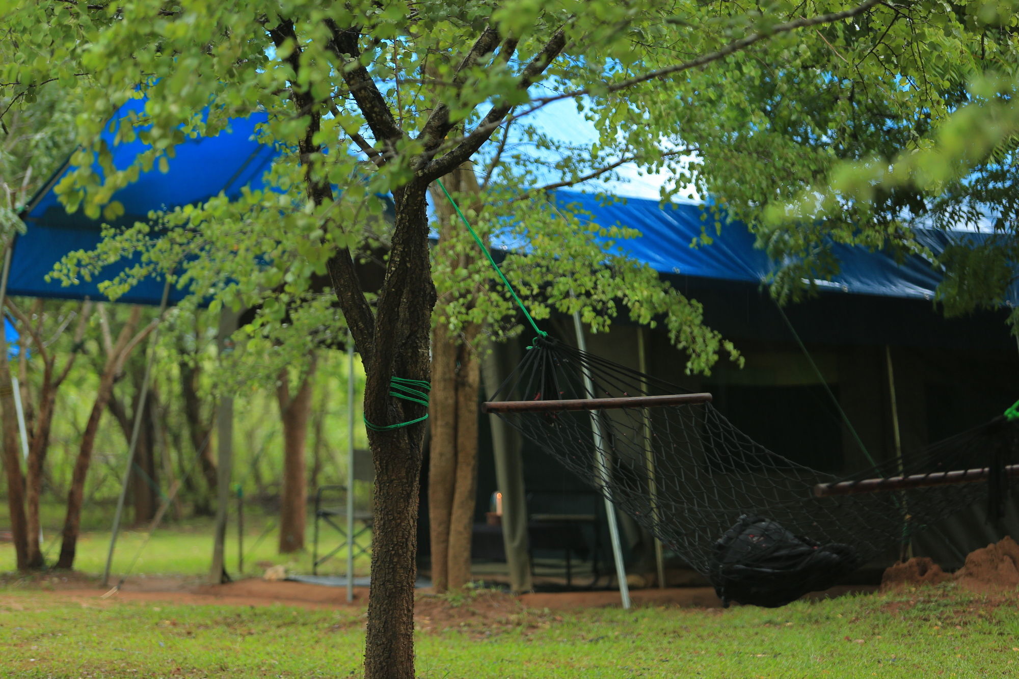 Отель Big Game Udawalawe - By Eco Team Экстерьер фото